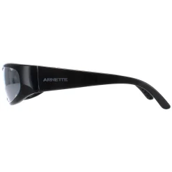 Arnette Sunglasses AN4302 Catfish 2900Z3 Recycled Black Silver