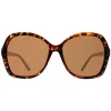 Atum Sunglasses Aelius C2 Shiny Havana Brown Gradient