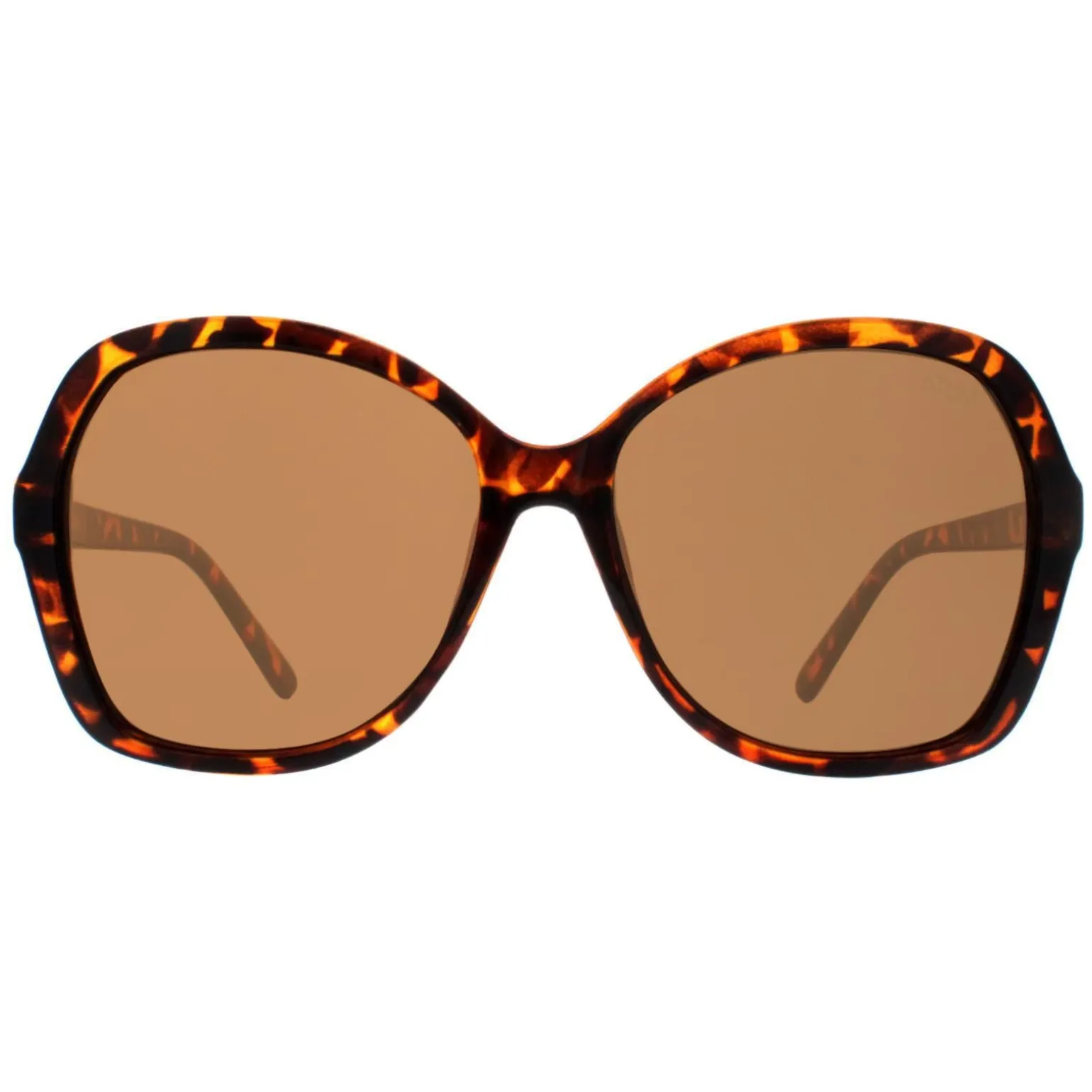 Atum Sunglasses Aelius C2 Shiny Havana Brown Gradient