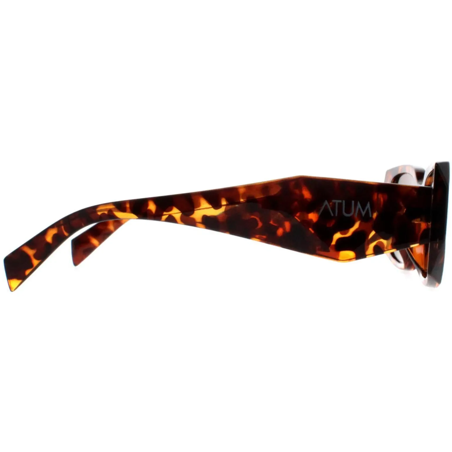 Atum Sunglasses Nyx C2 Shiny Havana Brown