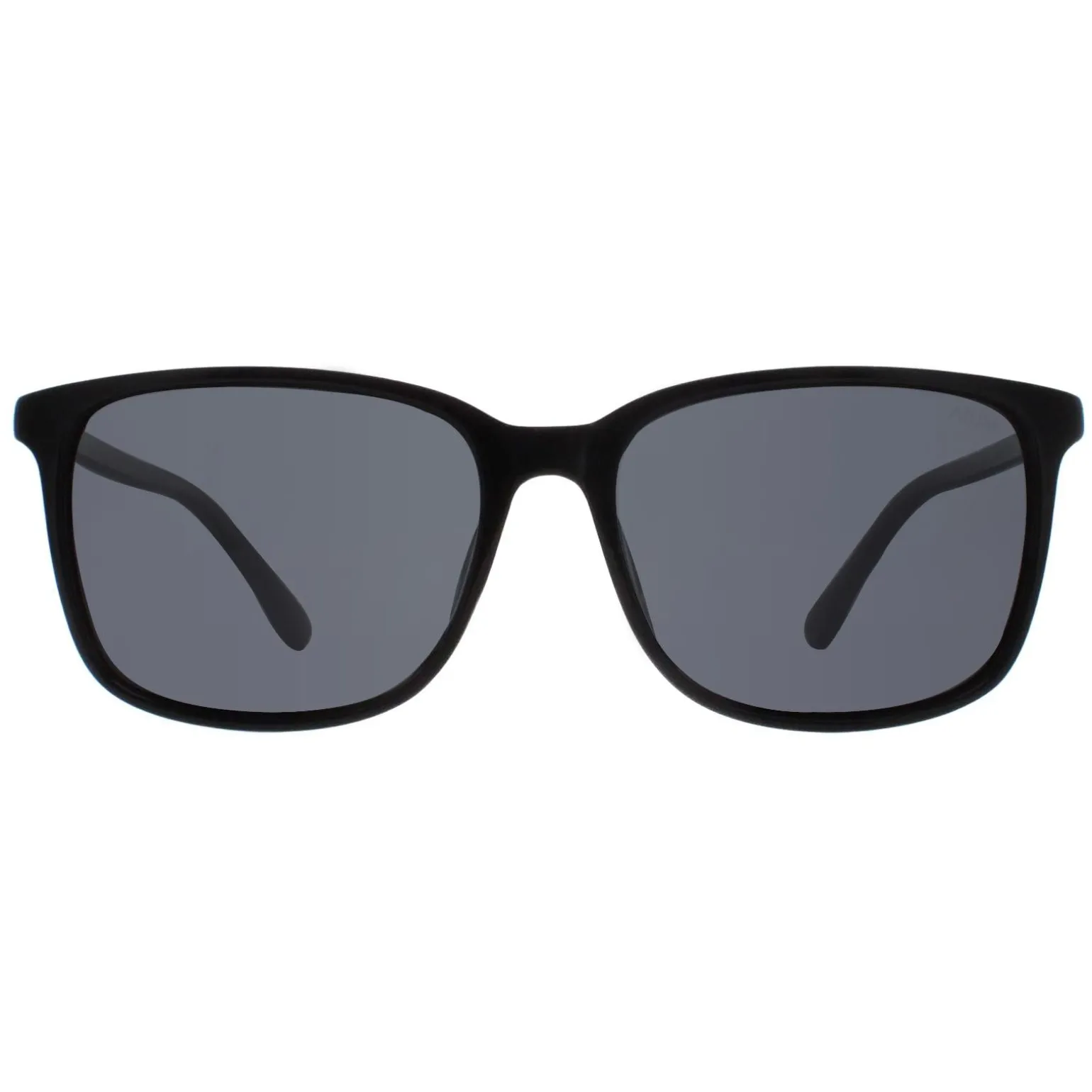 Atum Sunglasses Quill C1 Shiny Black Smoke Grey