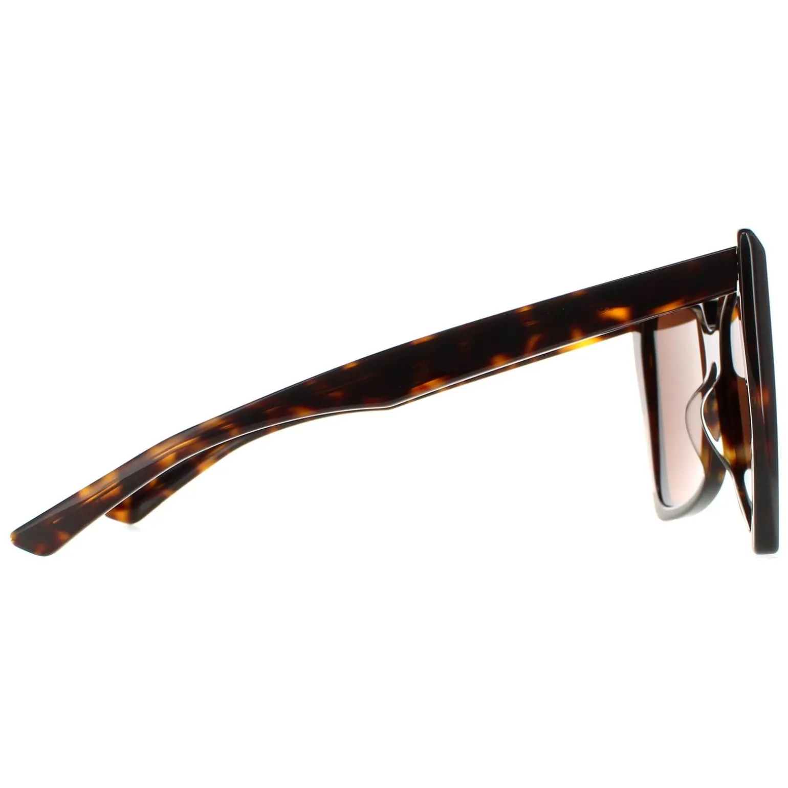 Balenciaga Sunglasses BB0174S 002 Havana Brown