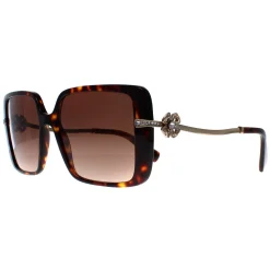 Bvlgari Sunglasses BV8243B 504/13 Havana Brown Gradient