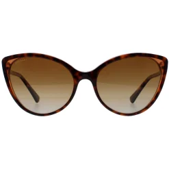 Bvlgari Sunglasses BV8246B 5496T5 Havana Brown Transparent Brown Gradi
