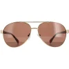 Calvin Klein Sunglasses CK19316S 717 Gold Brown