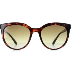 Calvin Klein Sunglasses CK22552S 240 Shiny Havana Brown Gradient