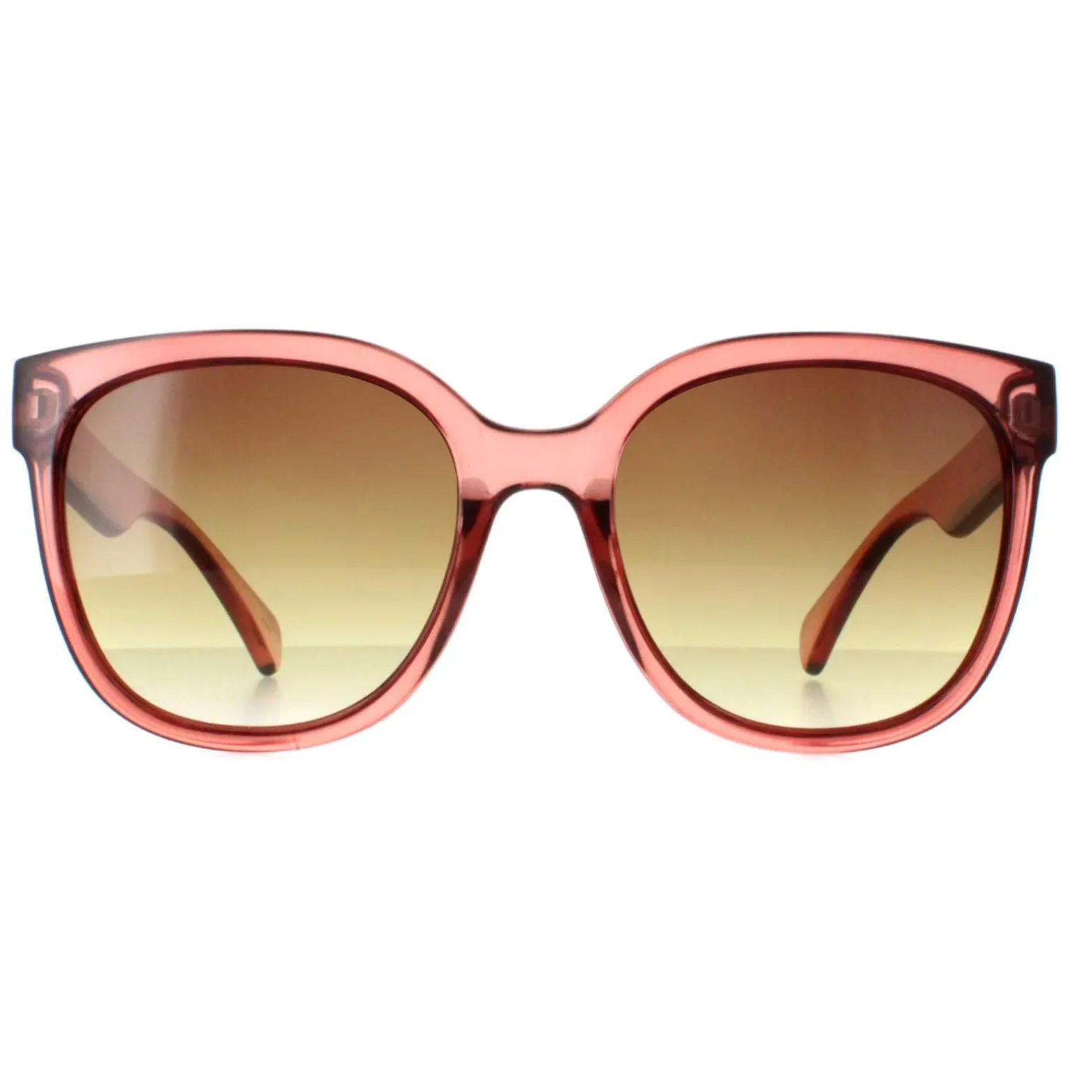 Calvin Klein Sunglasses CK22553S 210 Transparent Brown Brown Gradient