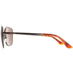 Calvin Klein Sunglasses CK19136S 200 Brown Brown