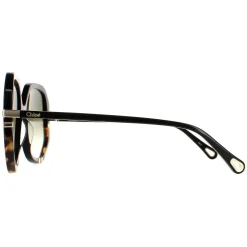 Chloe Sunglasses CH0105S 002 Shiny Black and Tortoise Green Gradient