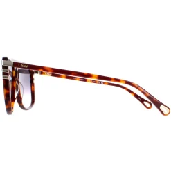 Chloe Sunglasses CH0104S 007 Shiny Medium Havana Grey Gradient