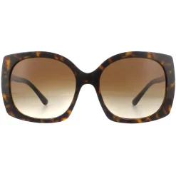 Dolce & Gabbana Sunglasses DG4385 502/13 Havana Brown Gradient Dark Br