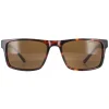 Duck and Cover Sunglasses DCS032 C2 Havana Brown
