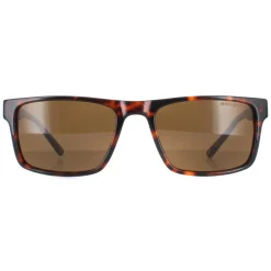 Duck and Cover Sunglasses DCS032 C2 Havana Brown