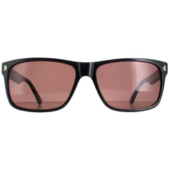 Duck and Cover Sunglasses DCS026 C1 Black Brown