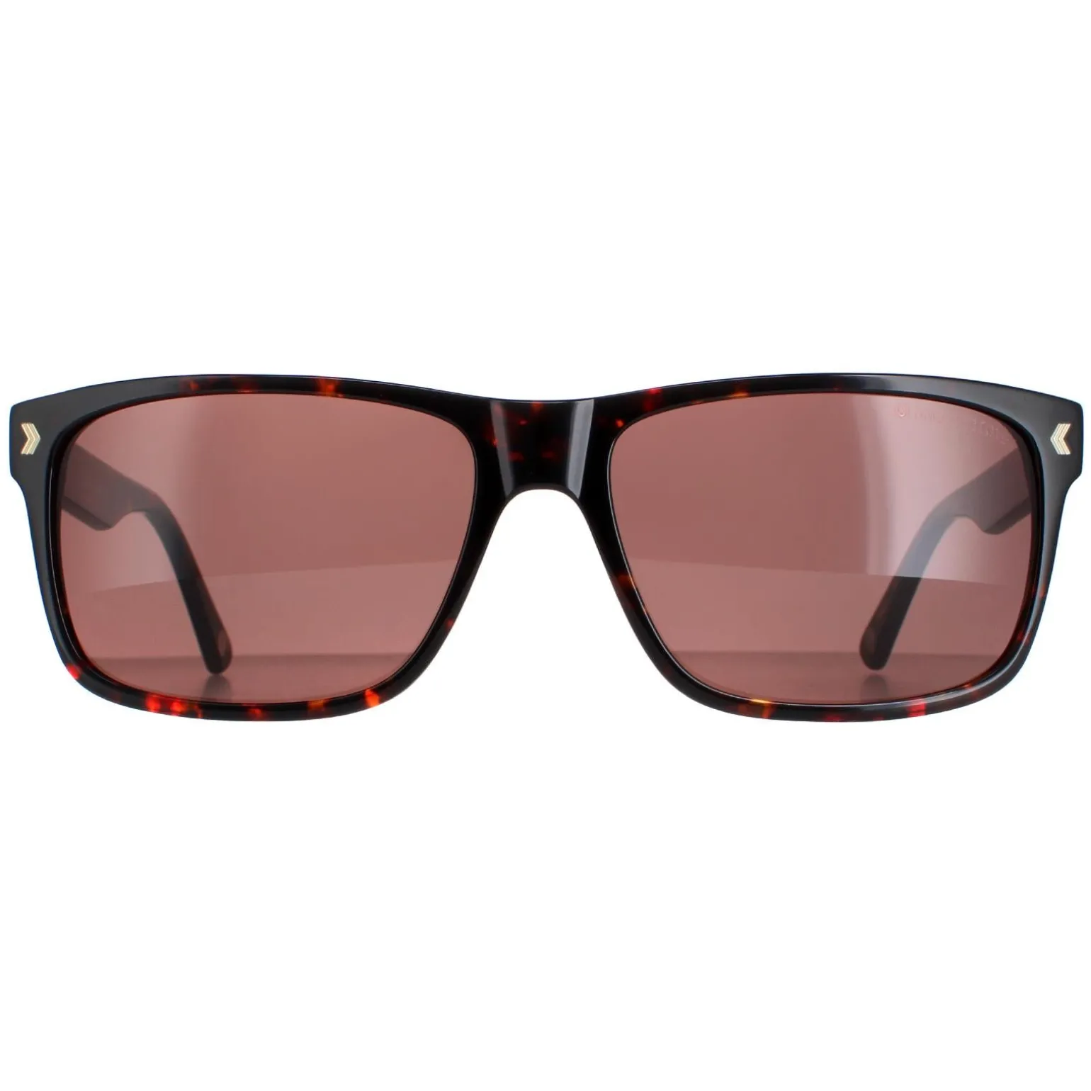 Duck and Cover Sunglasses DCS026 C2 Havana Brown