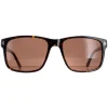 Duck and Cover Sunglasses DCS025 C2 Havana Brown