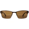 Duck and Cover Sunglasses DCS030 C2 Brown Black Brown