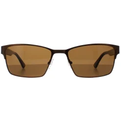 Duck and Cover Sunglasses DCS030 C2 Brown Black Brown