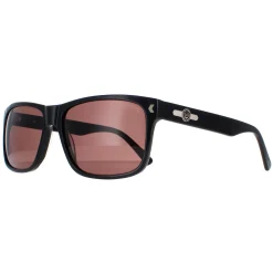 Duck and Cover Sunglasses DCS026 C1 Black Brown