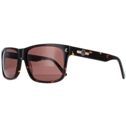 Duck and Cover Sunglasses DCS026 C2 Havana Brown