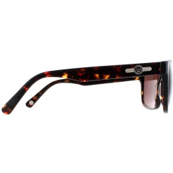 Duck and Cover Sunglasses DCS026 C2 Havana Brown
