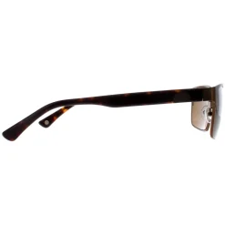Duck and Cover Sunglasses DCS030 C2 Brown Black Brown