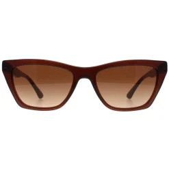 Emporio Armani Sunglasses EA4169 591013 Brown Brown Gradient