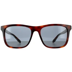 Gucci Sunglasses GG0381SN 009 Havana Blue