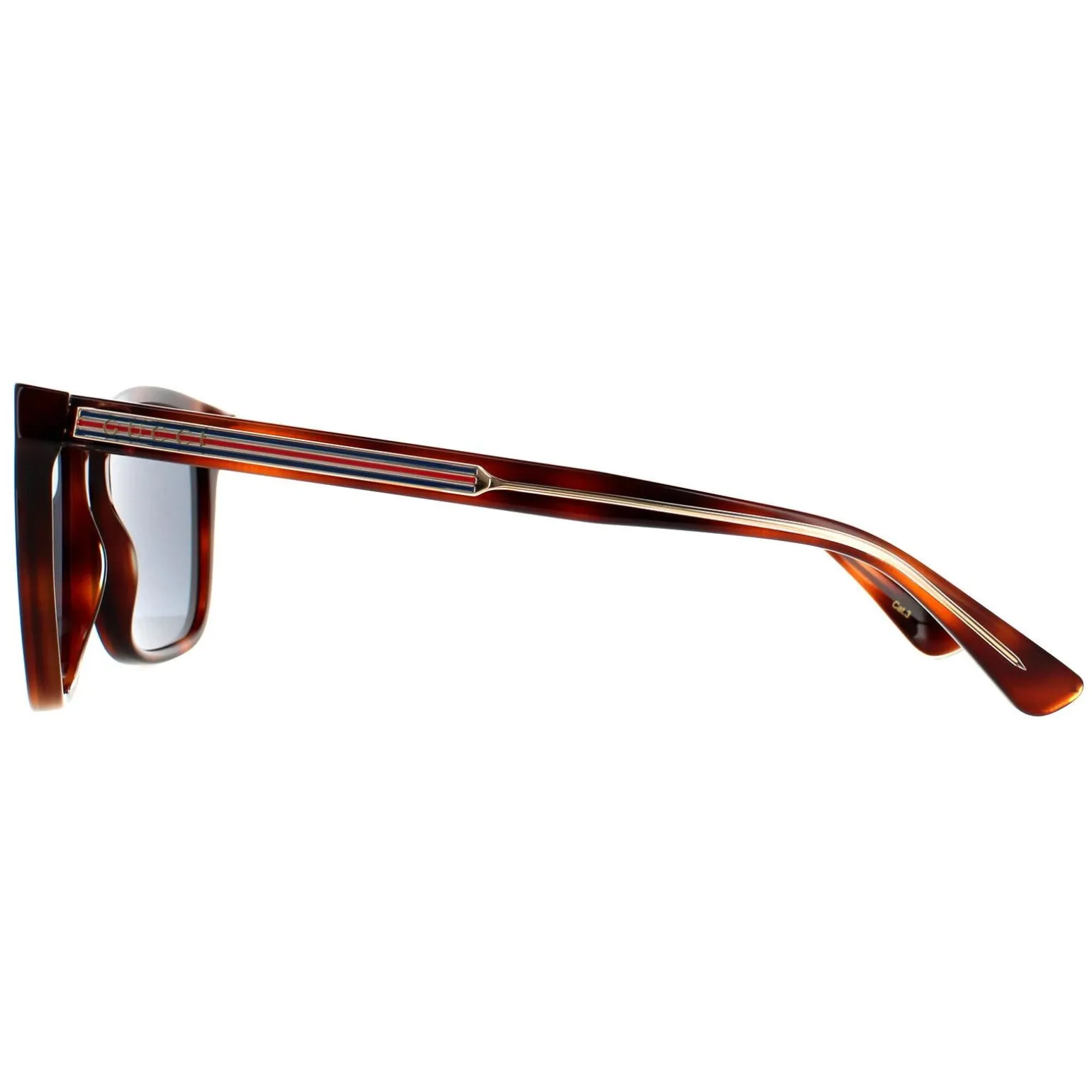 Gucci Sunglasses GG0381SN 009 Havana Blue