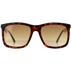 Guess Sunglasses GF0171 52F Dark Havana Brown Gradient