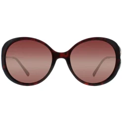 INVU Sunglasses B2117 B Demi Gold Brown Tortoise Brown Polarized