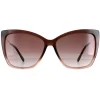 Jimmy Choo Sunglasses Seba/S 0MY/HA Brown Shaded Beige Brown Gradient