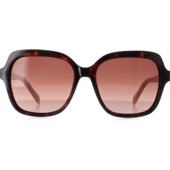 Karen Millen Sunglasses KM5048 102 Dark Tortoise Brown Gradient