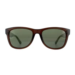 Lacoste Sunglasses L734S 210 Crystal Brown Green Green