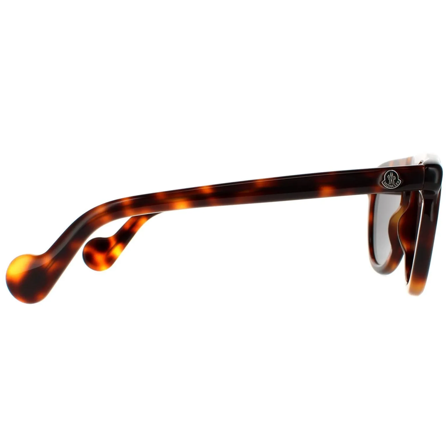 Moncler Sunglasses ML0100 52A Dark Havana Grey