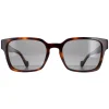 Moncler Sunglasses ML0143 56A Havana Grey