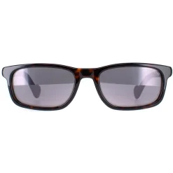 Moncler Sunglasses ML0116 52C Dark Havana Smoke Mirror