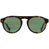Moncler Sunglasses ML0073 52R Dark Havana Green Polarized
