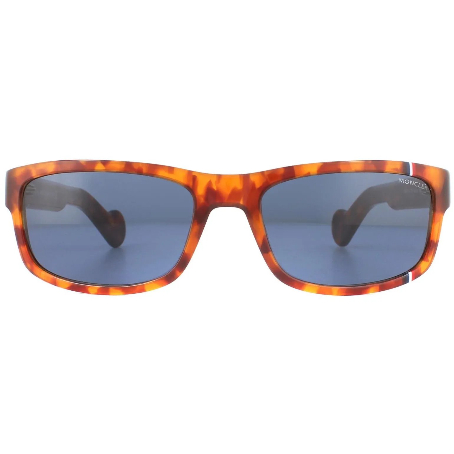 Moncler Sunglasses ML0114 53V Havana Blue