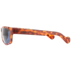 Moncler Sunglasses ML0114 53V Havana Blue