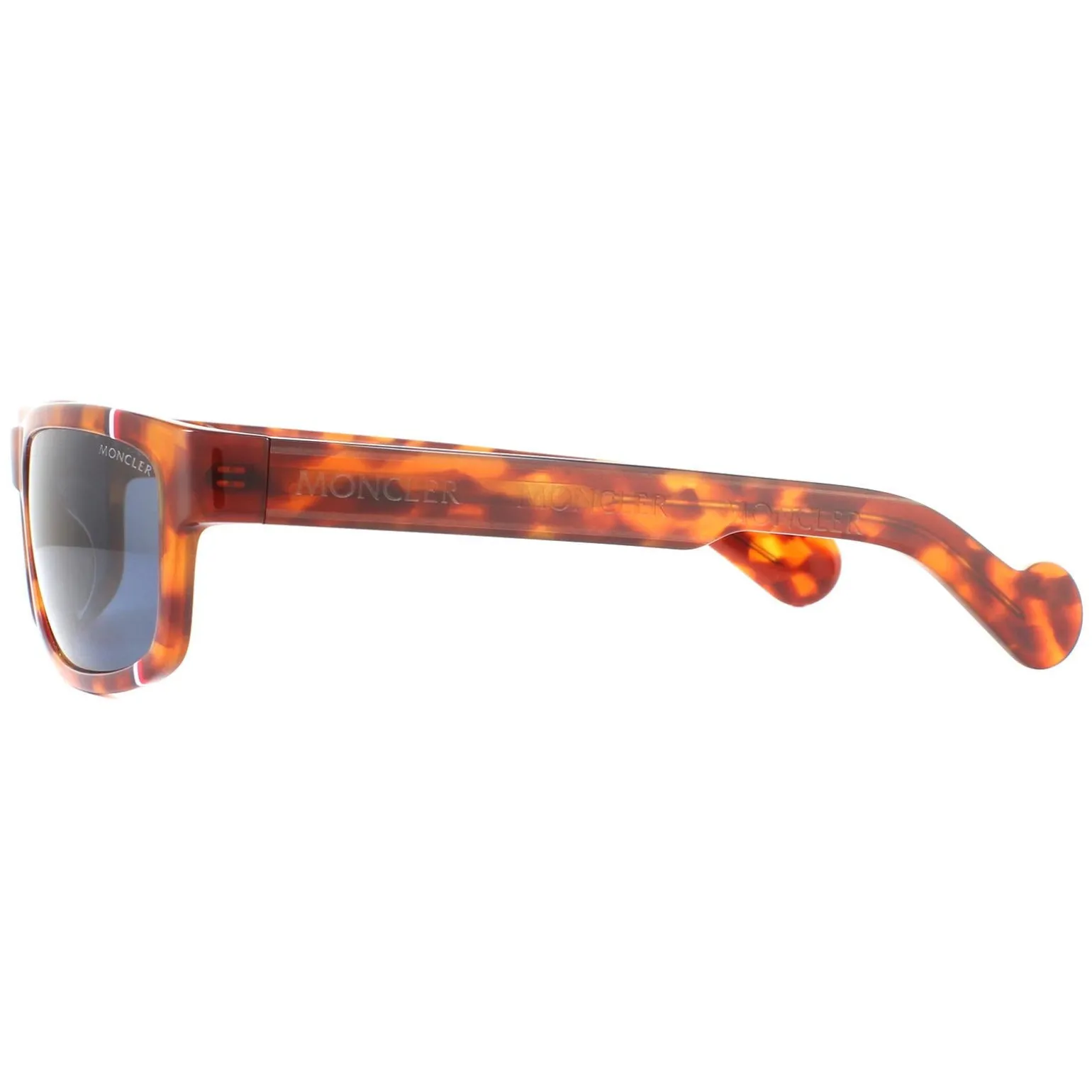 Moncler Sunglasses ML0114 53V Havana Blue