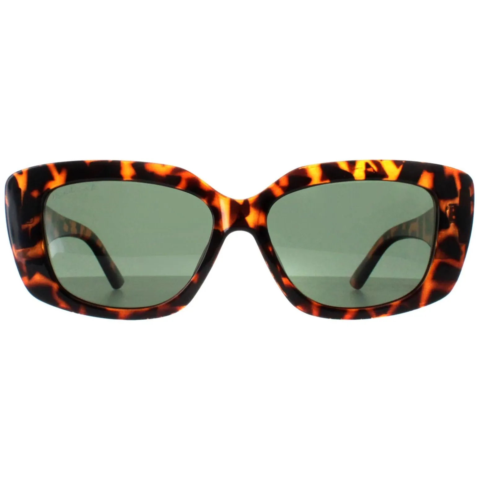 Montana Sunglasses MP56 A Shiny Turtle G15 Polarized