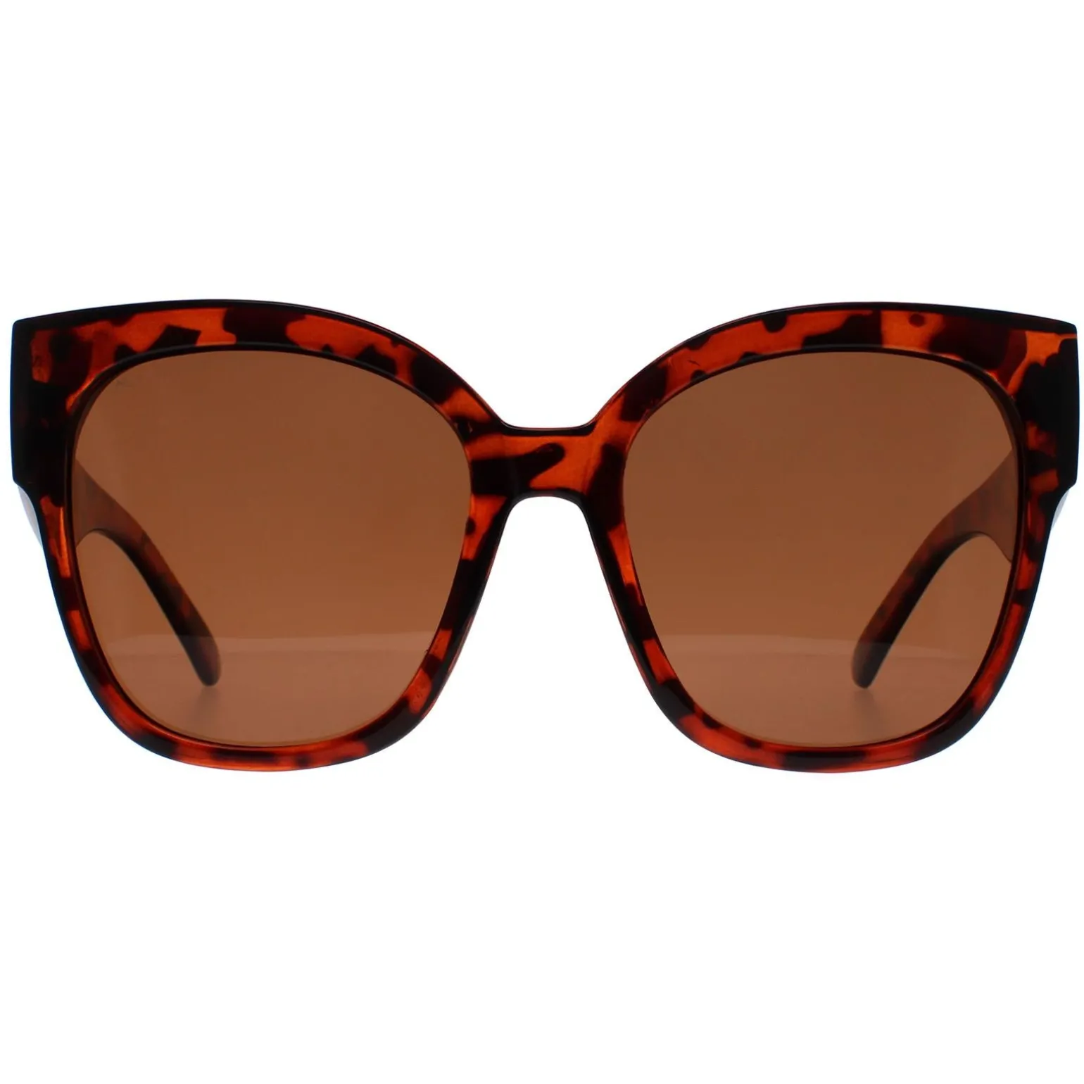 Montana Sunglasses MP73 B Shiny Tortoise Brown Polarized