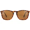 Montana Sunglasses MP34 C Brown Turtle Rubbertouch Brown Polarized