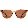 Montana Sunglasses MP75 C Shiny Havana Soft Demi Brown Polarized