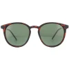 Montana Sunglasses MP33 D Brown Turtle Rubbertouch G15 Green Polarized