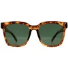 Montana Sunglasses MP72 D Shiny Havana Soft Demi Green Polarized