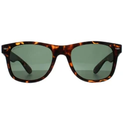 Montana Sunglasses MP1C-XL C Turtle G15 Green Polarized