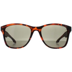 O'Neill Sunglasses Shore 102 Matte Tortoise Grey