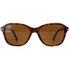 Persol Sunglasses PO3244S 24/33 Havana Brown